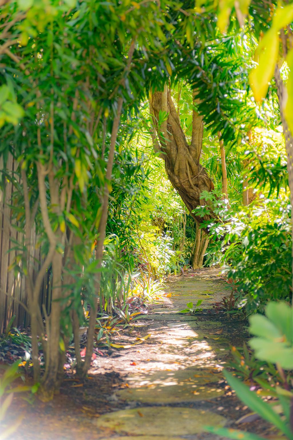 ANDREW & COMPANY SUBDIVIS - Residential