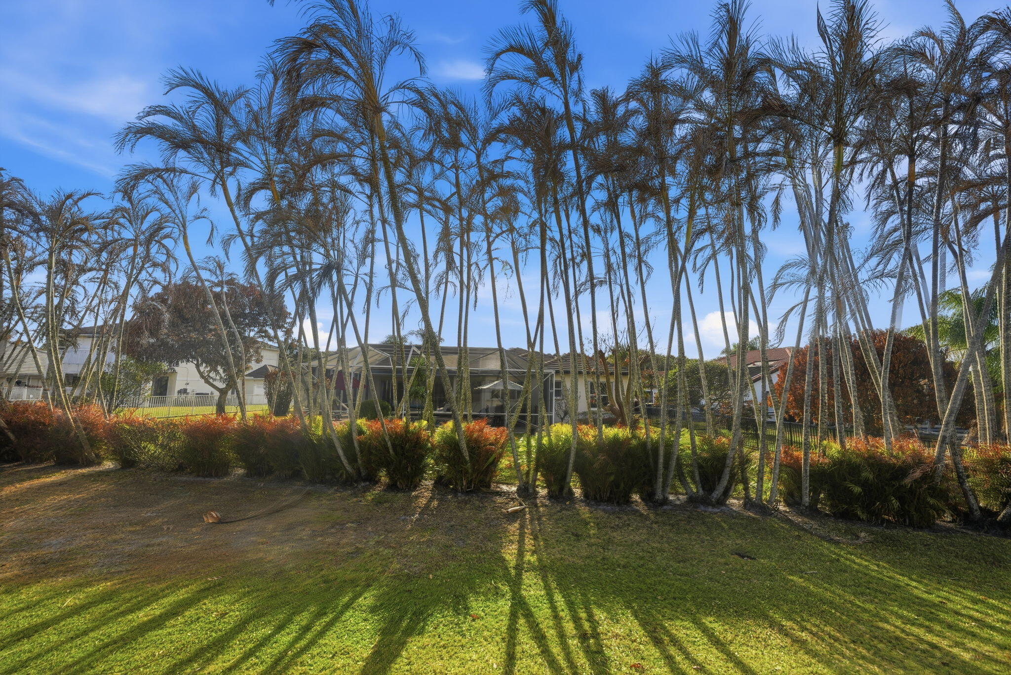 HAMMOCK CREEK - Residential