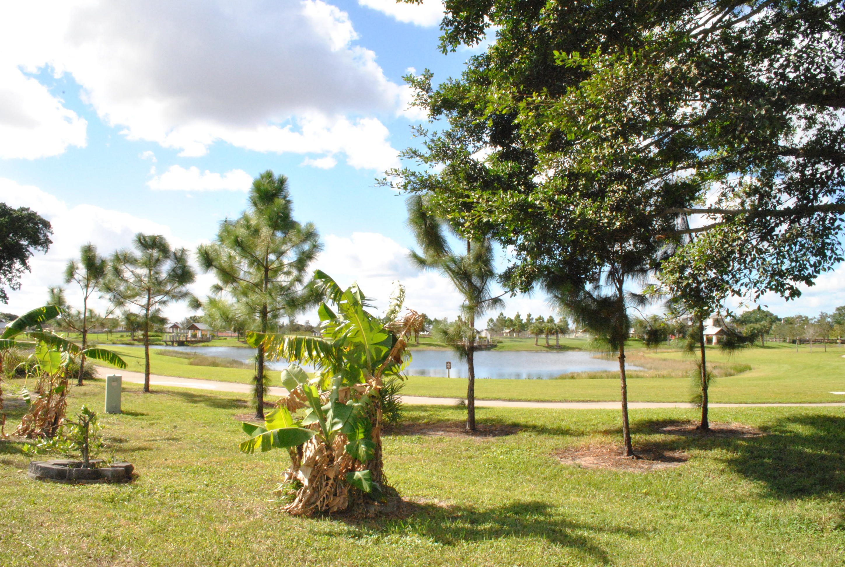 The WILLOWS - Residential