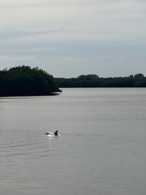 ORCHID ISLES ESTATES - Land