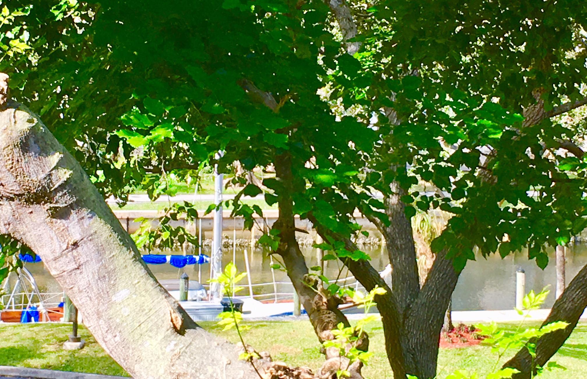 Porta Bella - Residential