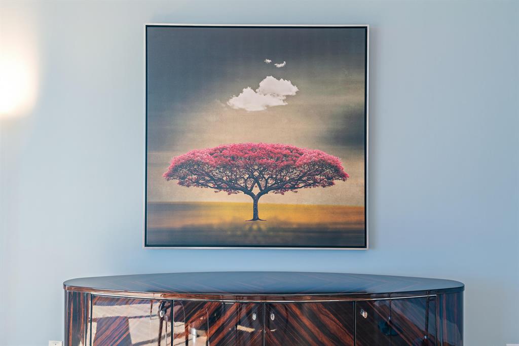 Ritz Carlton Residence - Residential