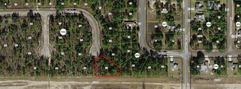 1005 W Riley Drive Citrus Springs FL 34434