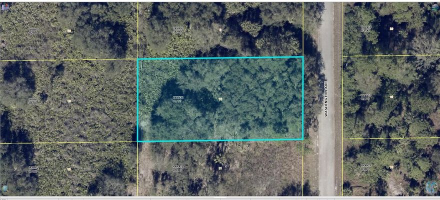 This is a fantastic opportunity to own a piece of land in the growing community of Lehigh Acres.