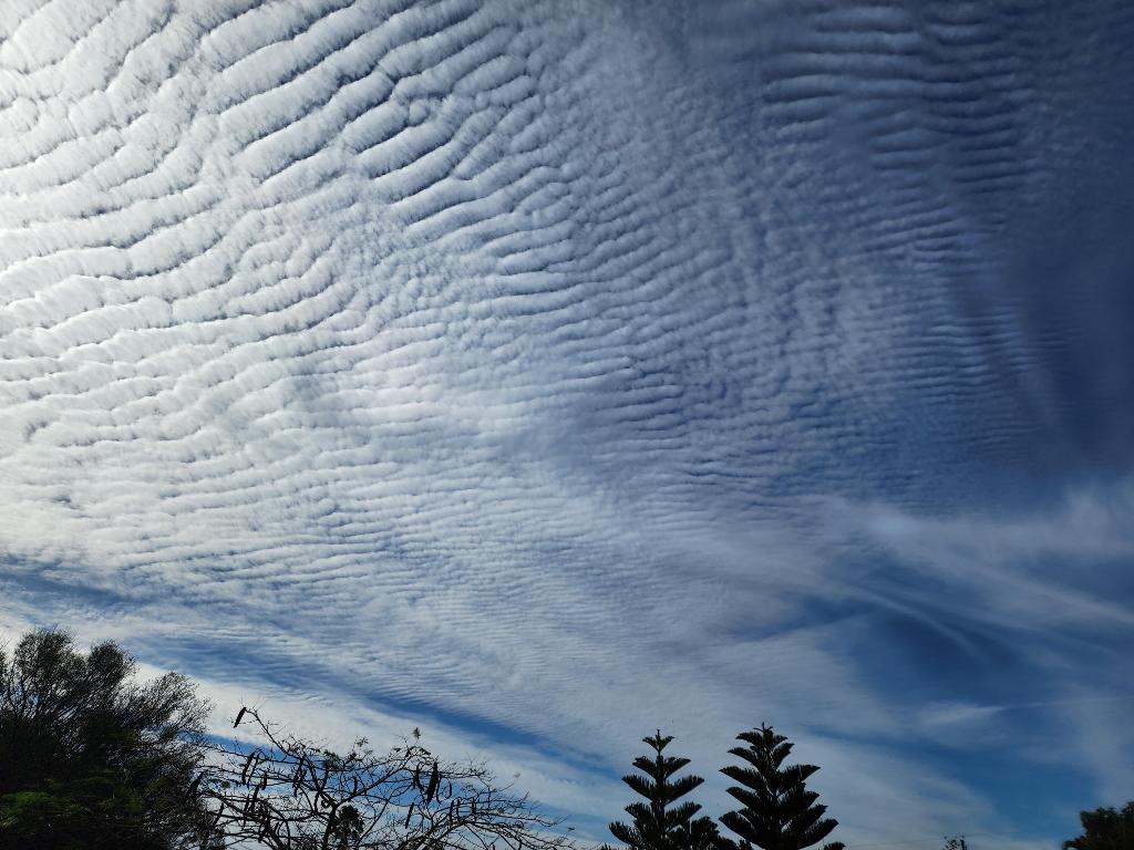 TROPICAL EAST - Residential Lease