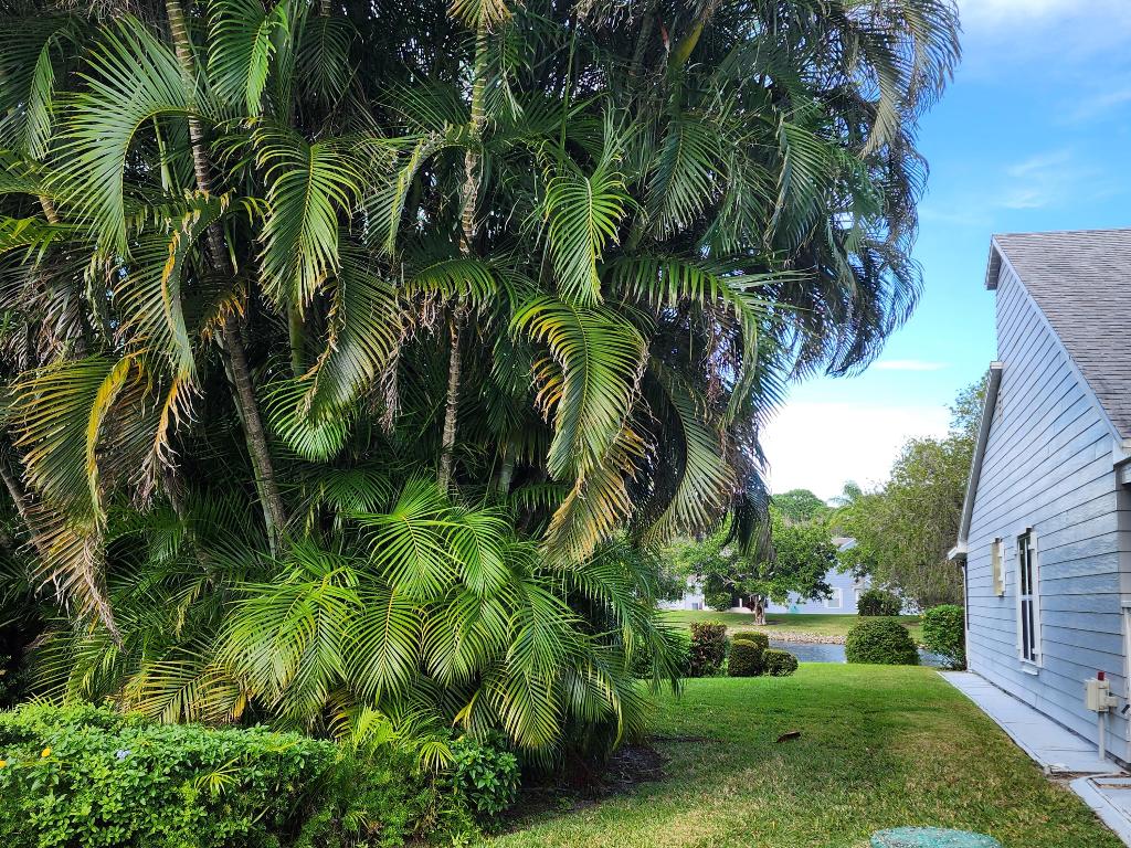 TROPICAL EAST - Residential Lease