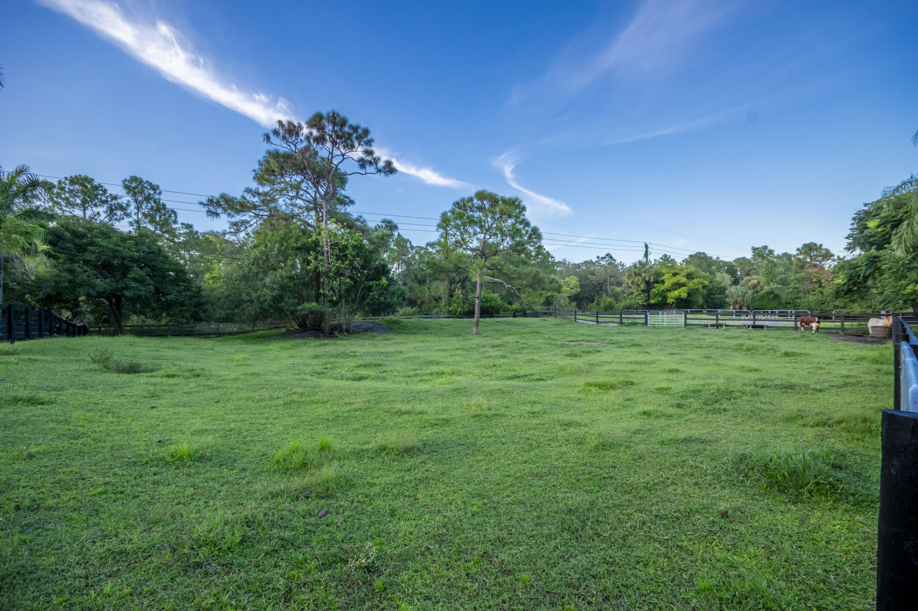 Caloosa - Residential