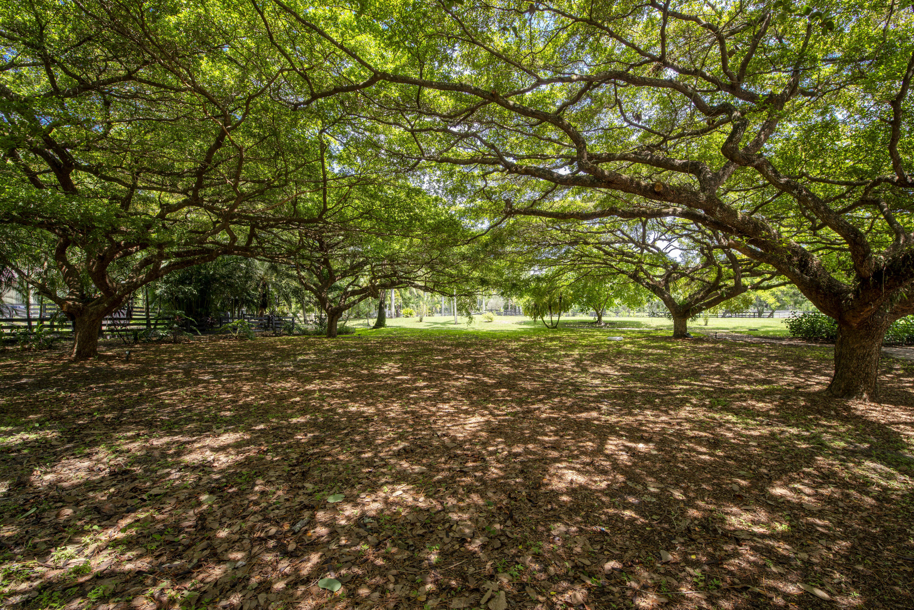 Caloosa - Residential