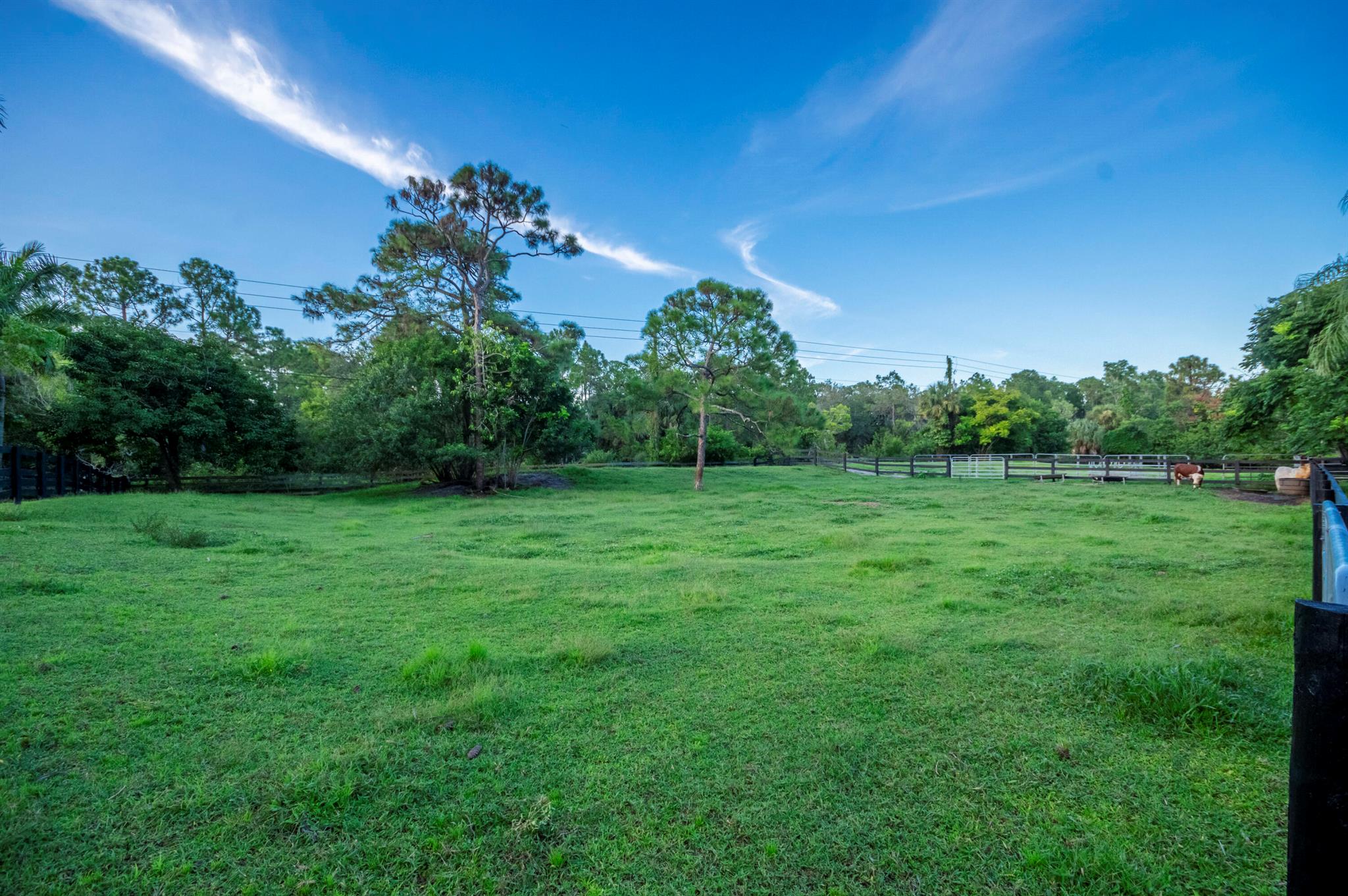 Caloosa - Residential