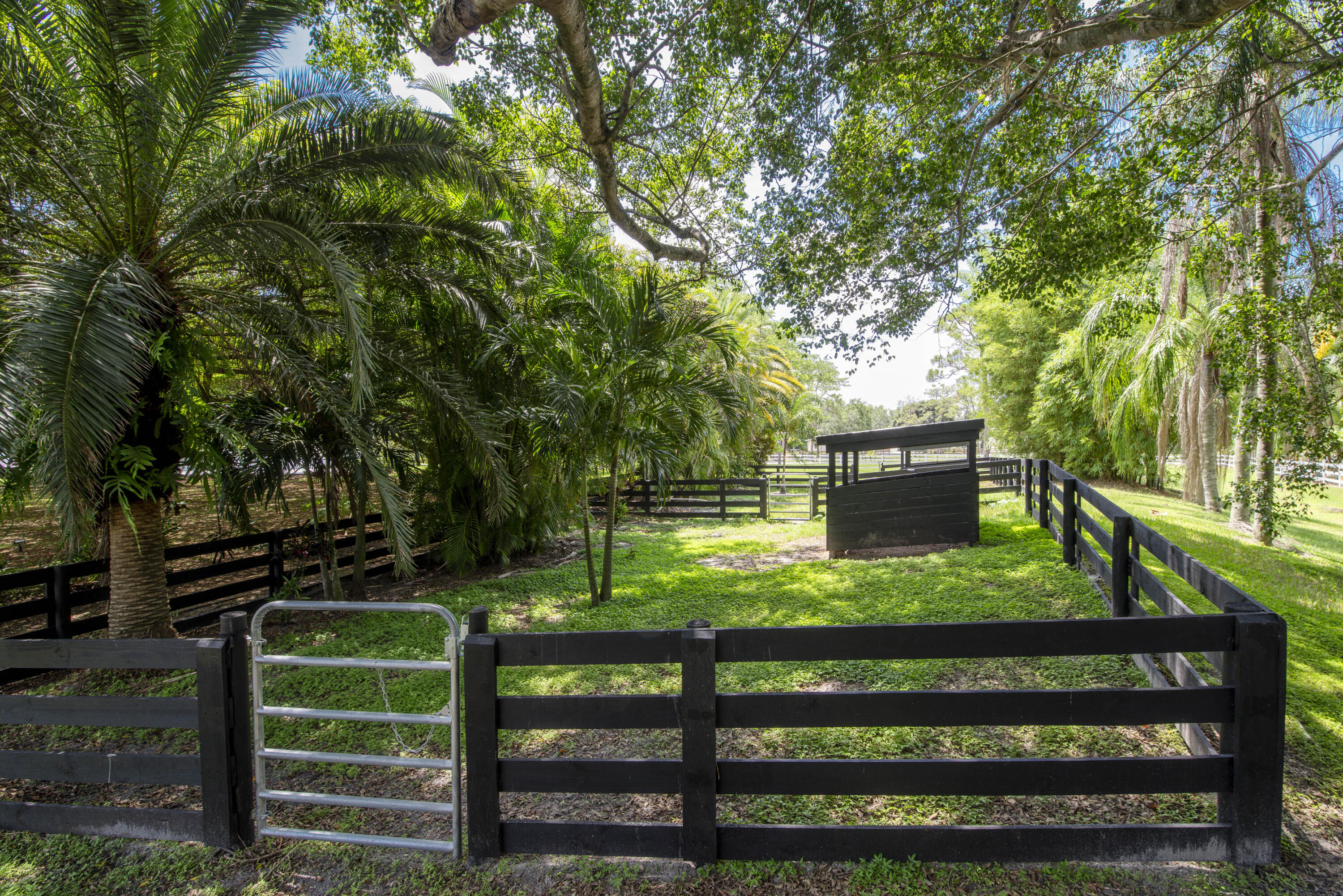 Caloosa - Residential