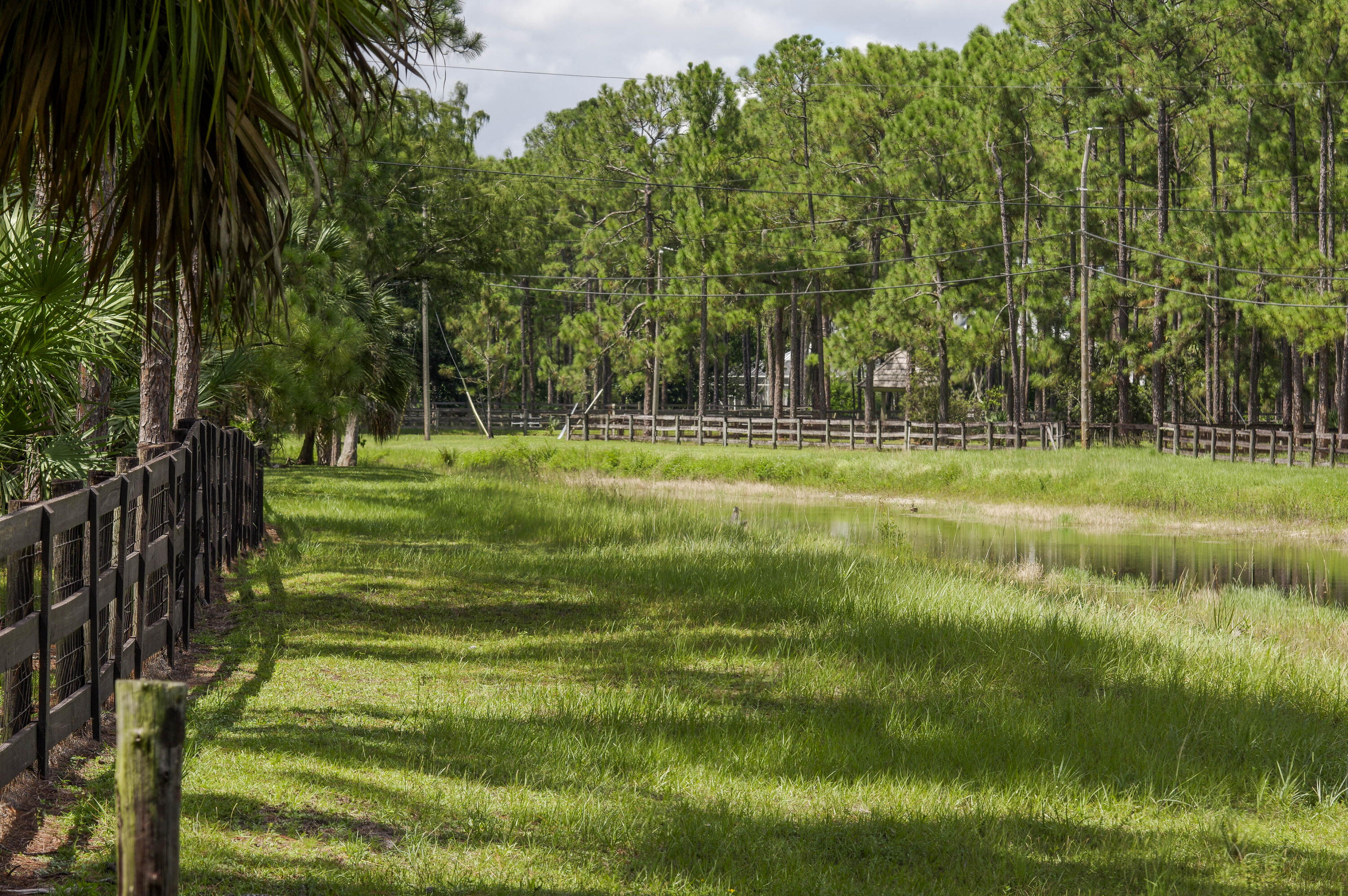 Caloosa - Residential