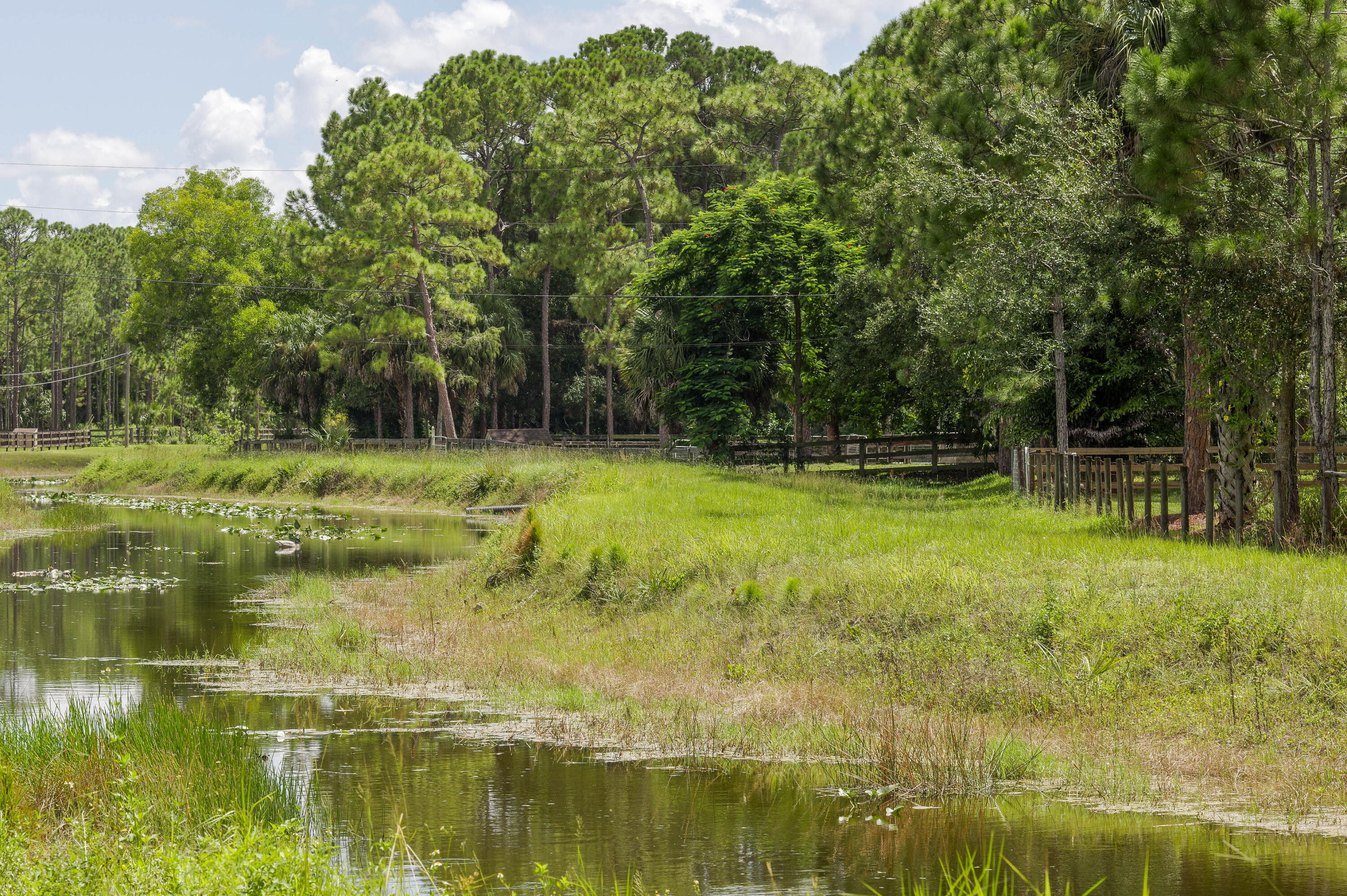 Caloosa - Residential