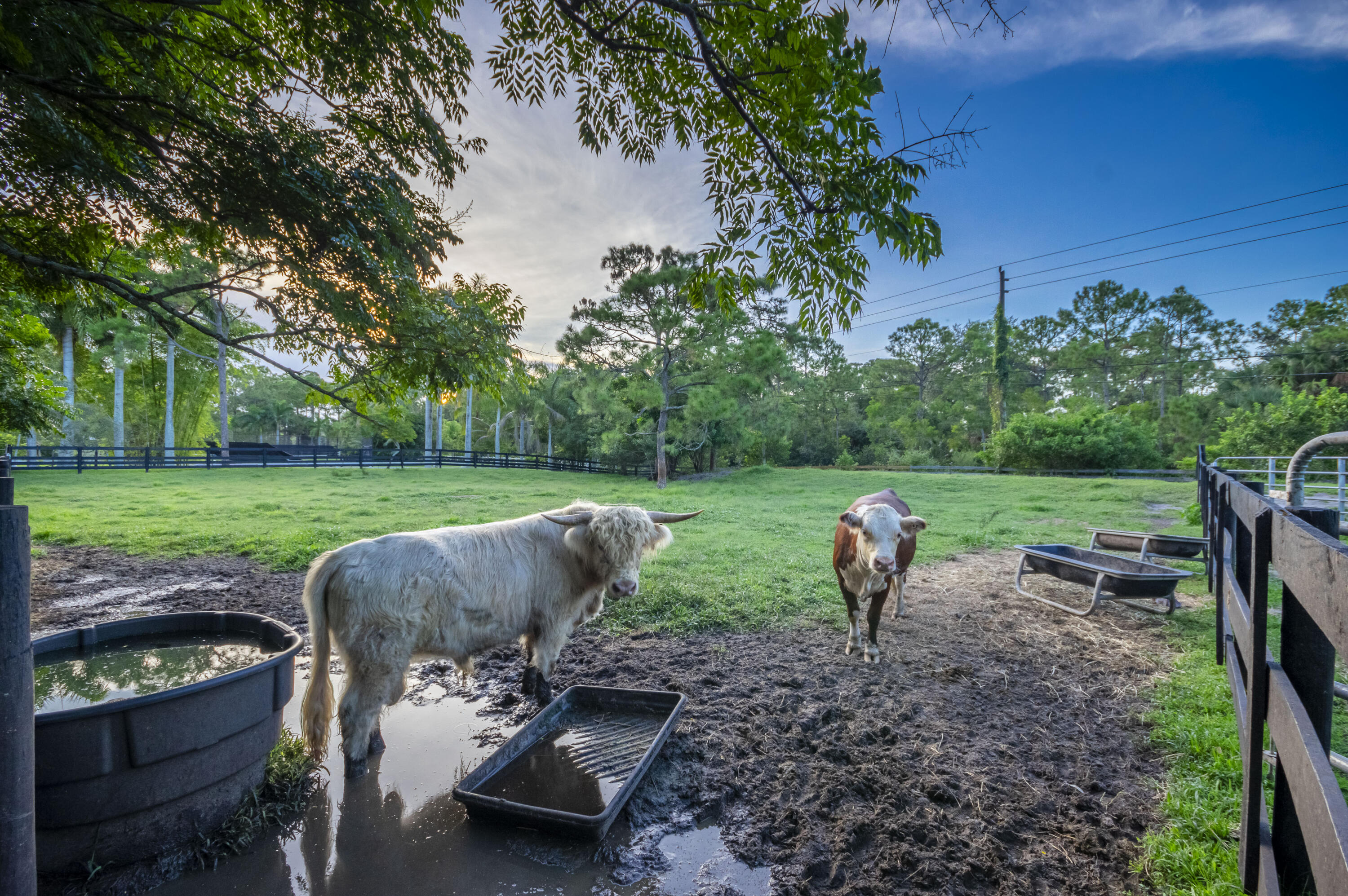 Caloosa - Residential