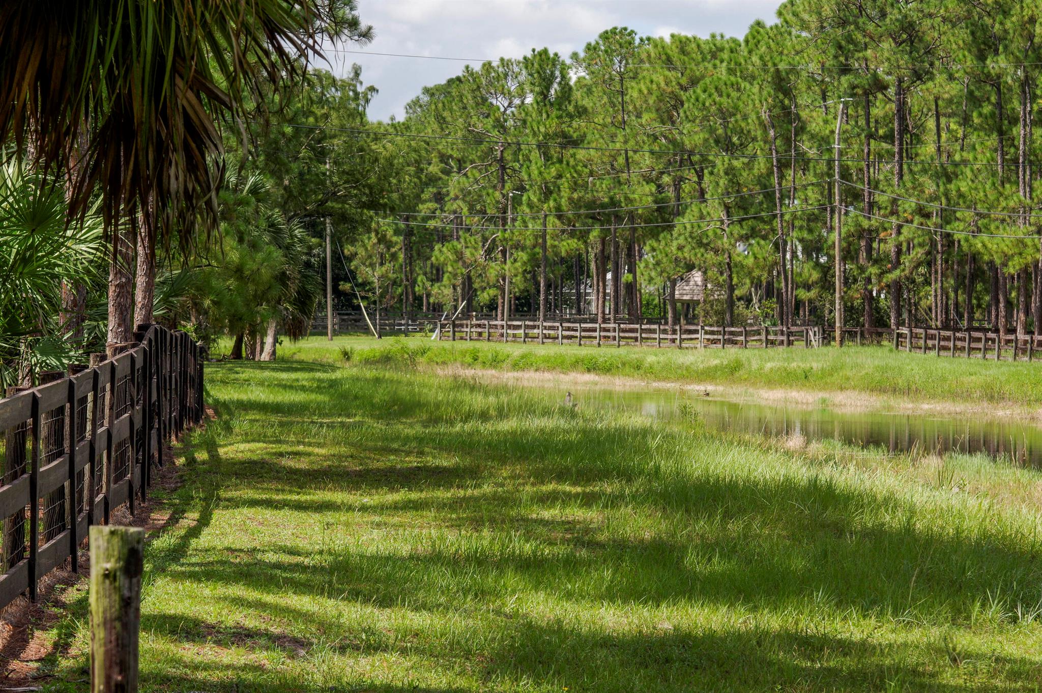 Caloosa - Residential