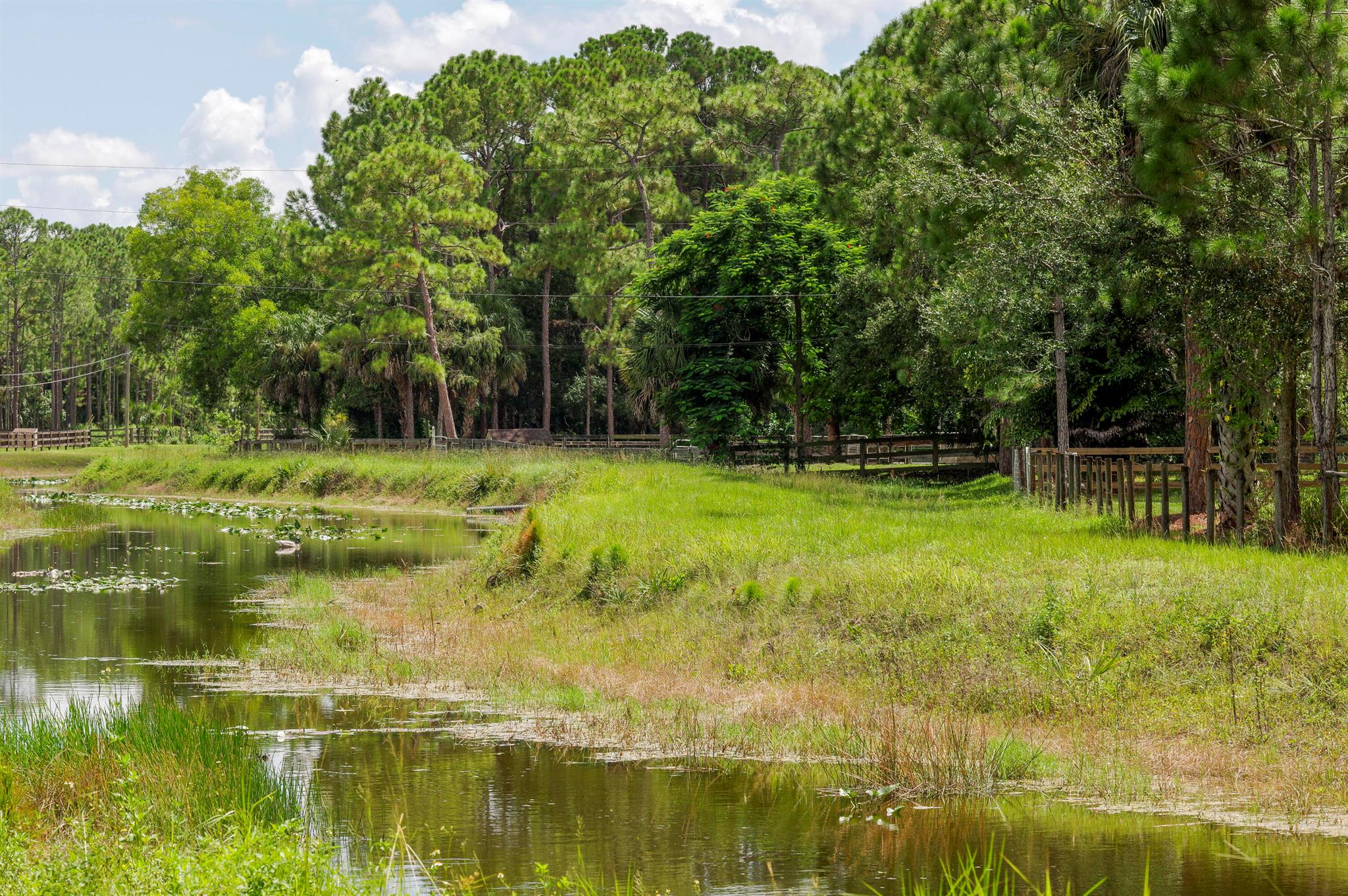 Caloosa - Residential