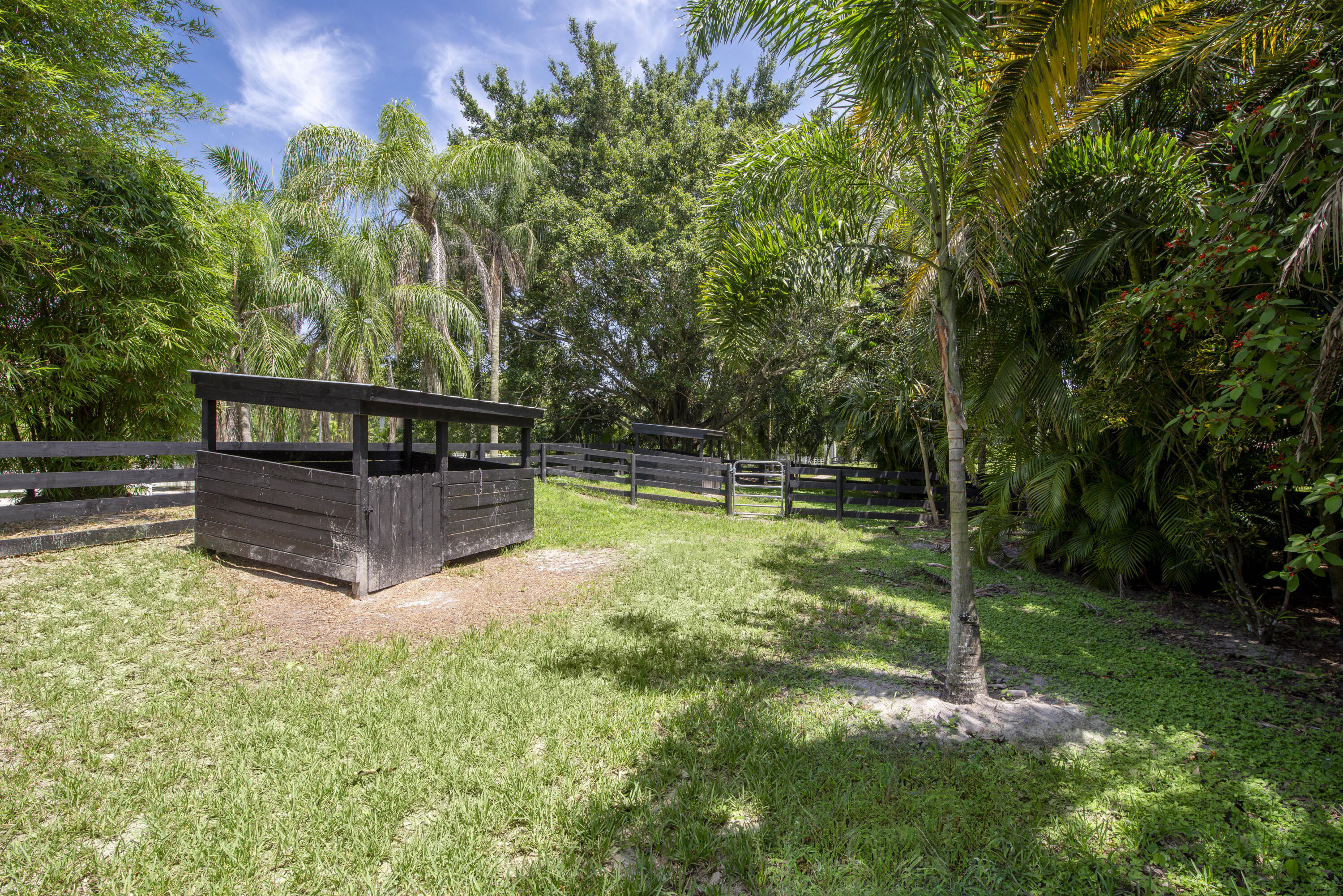 Caloosa - Residential