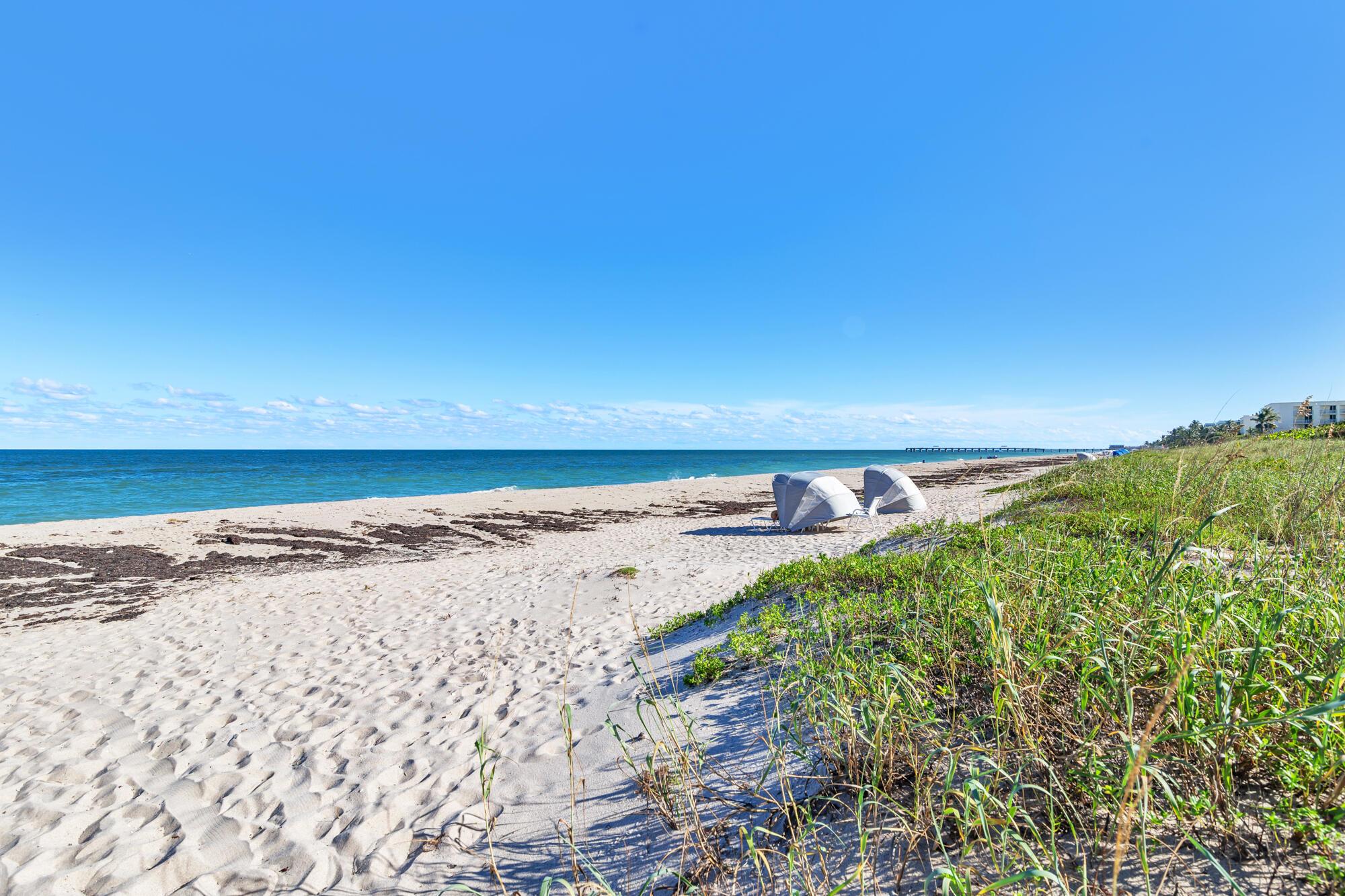 CARLYLE HOUSE CONDO - Residential Lease