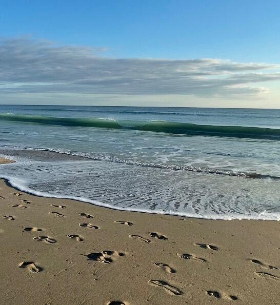 Walton Court - Residential