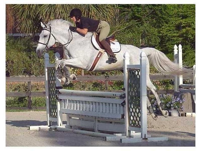 LOXAHATCHEE GROVES - Land