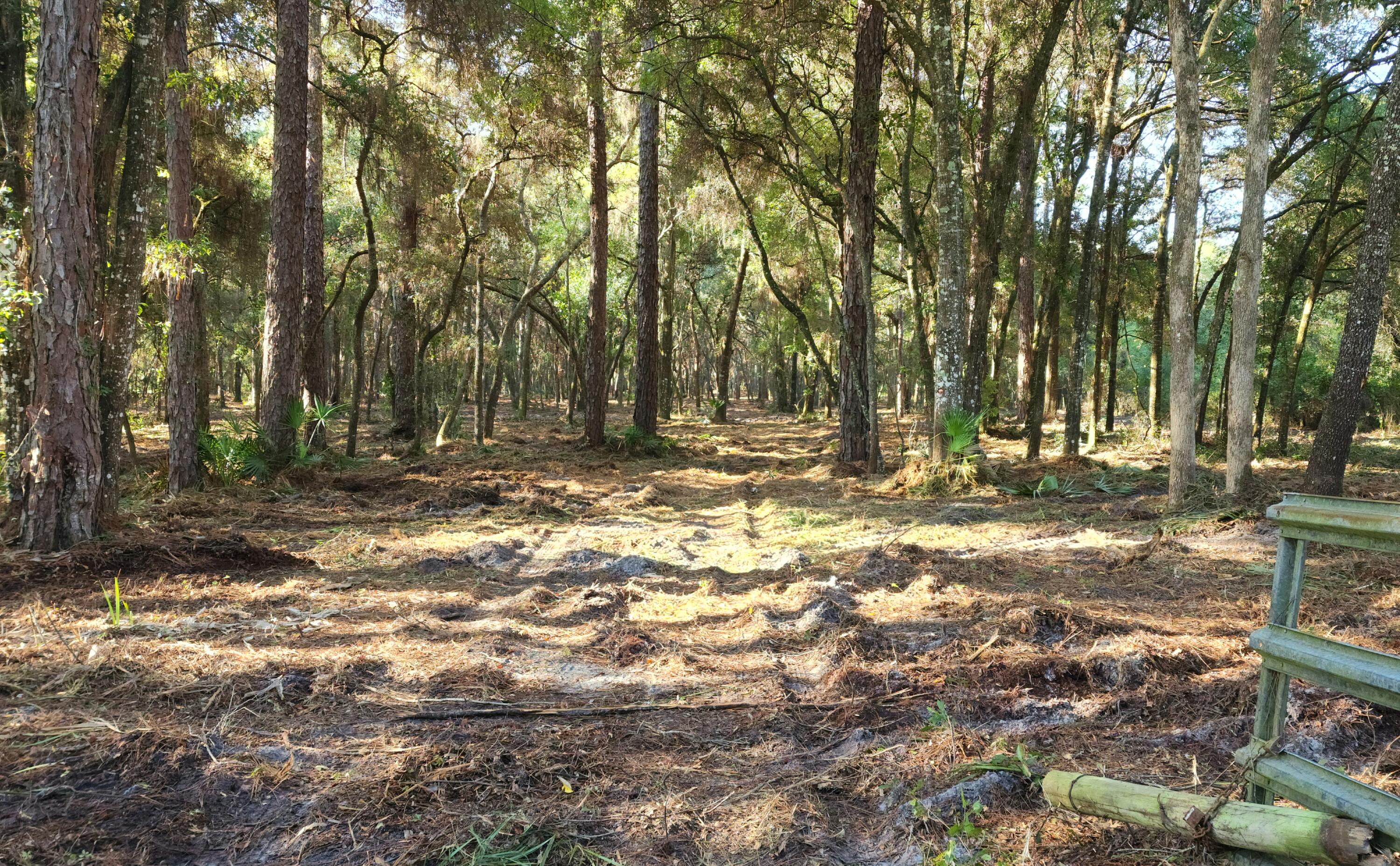 MOTIVATED SELLER, make offer. Financing available. Beautiful 10 acre parcel in Oxford, FL. Gorgeous treed canopy. Some clearing but left bigger trees for new owners to decide what they like. No flood zones. No HOA or deed restrictions. Located minutes from the Villages and all the conveniences offered. 15 minutes to FL Horse Park. 20 minutes to downtown Ocala. 30 minutes to WEC. Perfect for your custom home surrounded by the beauty of oaks and pines. Or clear more for your horses, goats, whatever you like. Address may not show on google yet. Follow directions: Hwy 475 to SE 178th ST (East) to SE 15th Ct (South). 15th Court makes turn to left and becomes 180th ST or 140th Ave. Property on right