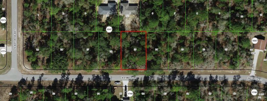 Build a brand new home on this .28 acre homesite in popular and growing Citrus Springs. The seller has the adjacent homesite next door listed for sale at 3059 N Eunice Drive.The seller is an investor and does not have any reports or survey to share.  Please verify the accuracy of the utility information.