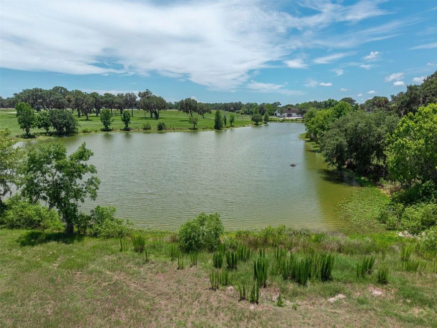 Just under 1-acre this beautiful, wooded land is located in Dunnellon, Lake Tropicana area. A2 property. Bring animals and build your future dream home on your very own mini farm. NO HOA. Fully wooded canvas ready for your own personal touch. No flood zone. Within a few miles of this property is world famous Rainbow River. This 5.7-mile-long river is a first magnitude spring that ranks 4th in Florida for its impressive water discharge pumping out 400-600 million gallons of fresh water daily. This clarity offers incredible visibility sometimes exceeding 200 feet making this a paradise for swimmers, snorkelers, kayakers and divers. This property is also just 14 miles from The World Equestrian Center making for an easy commute to entertainment and top-notch horse facilities.