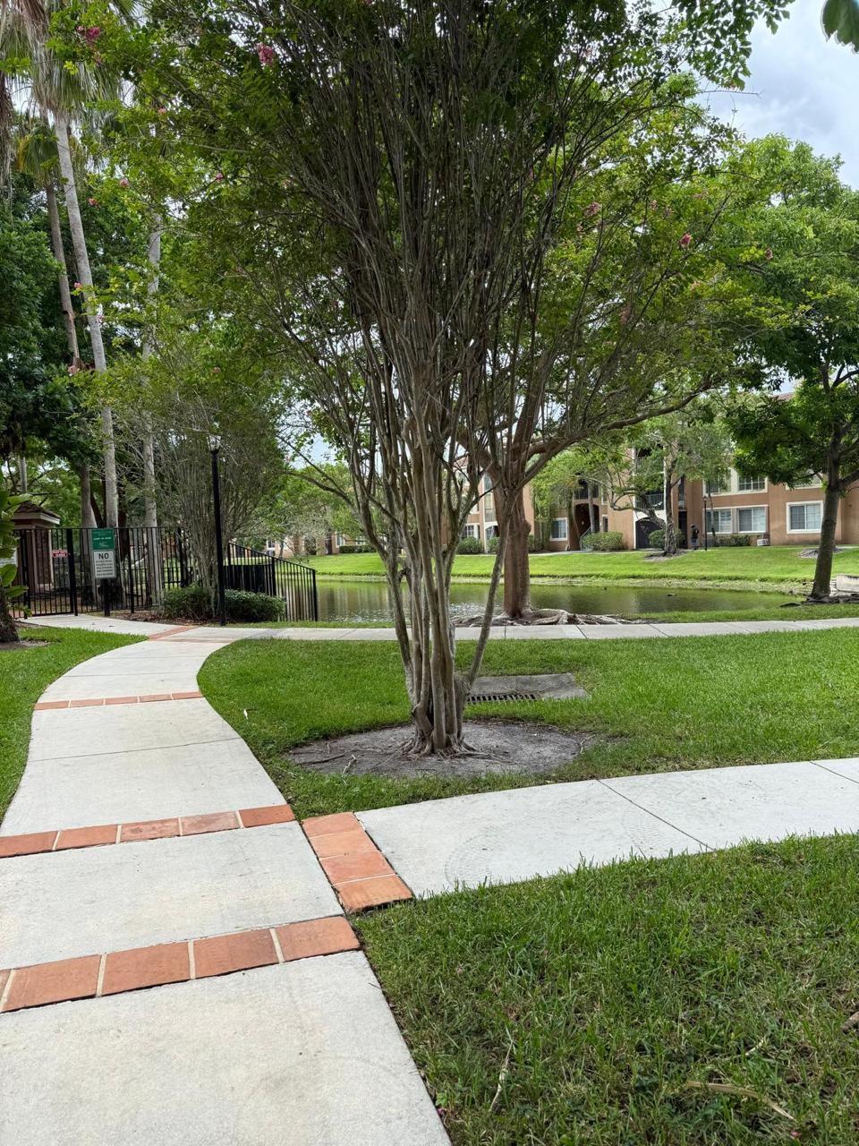 Carrington at Coconut Cre - Residential