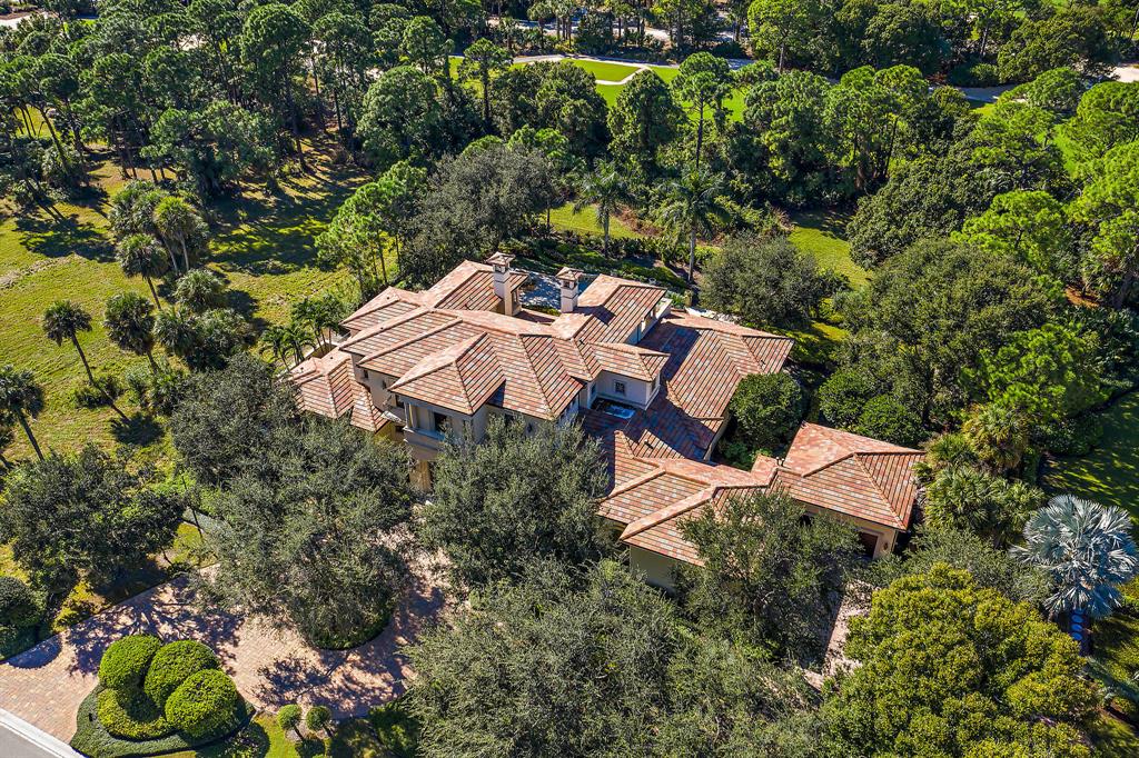 OLD PALM 3 - Residential