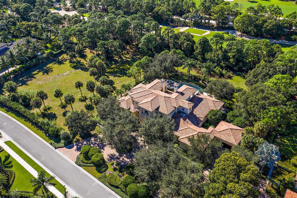 OLD PALM 3 - Residential