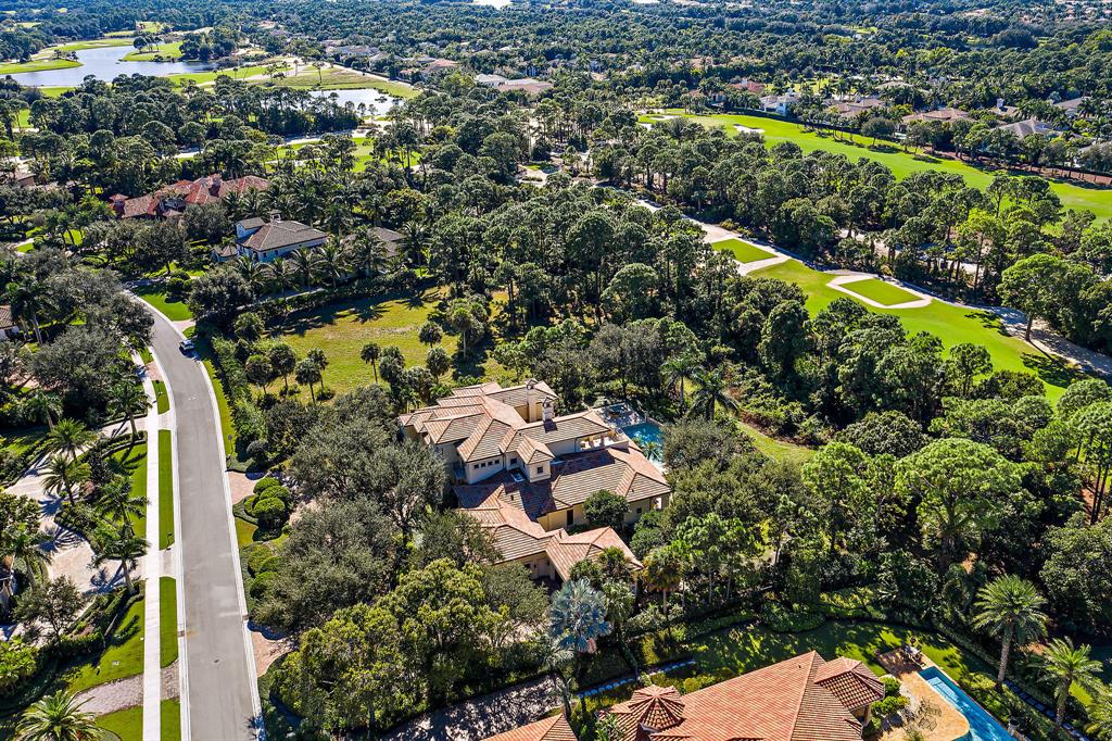 OLD PALM 3 - Residential