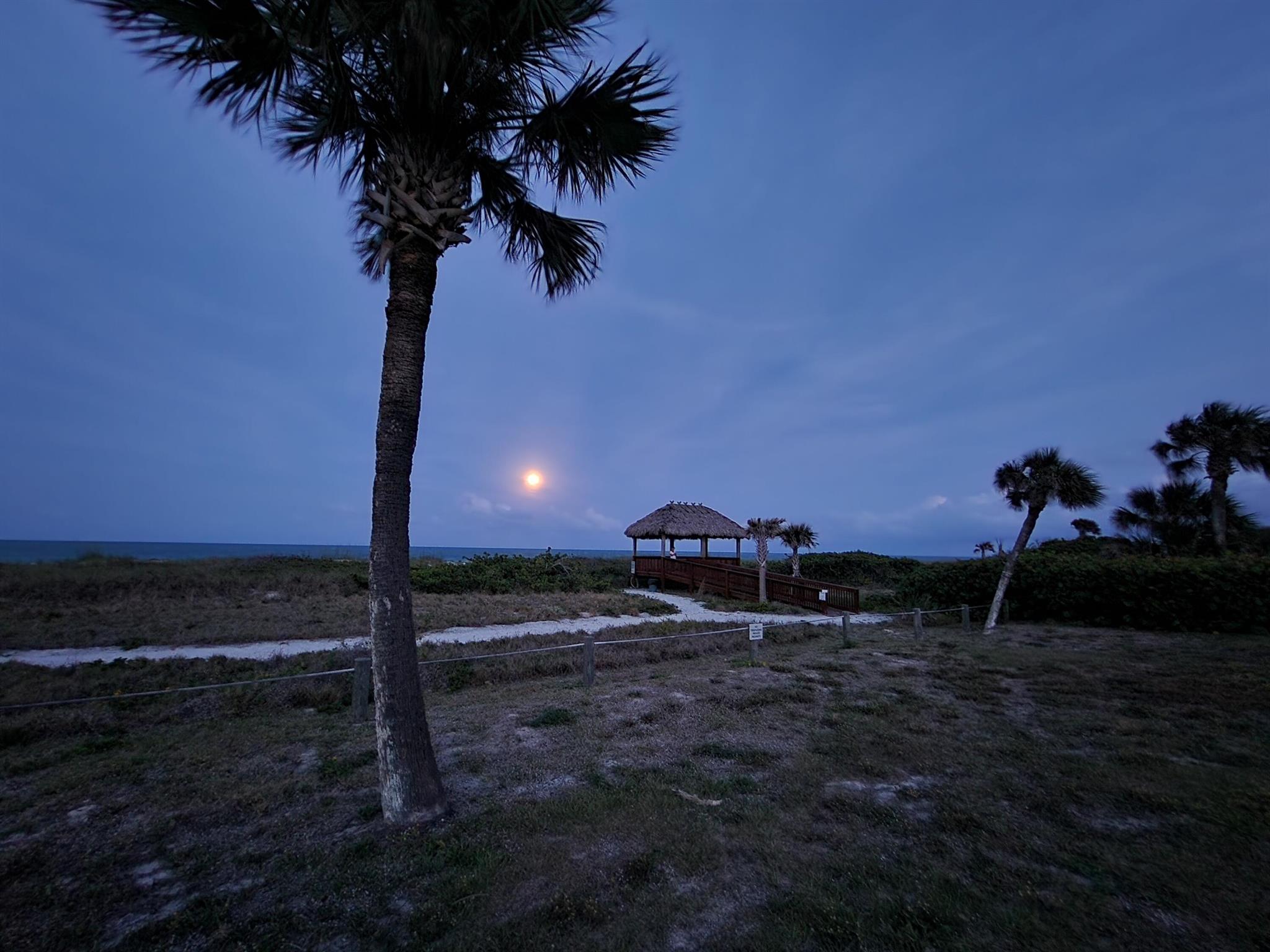 OCEAN HARBOUR CONDOMINIUM - Residential