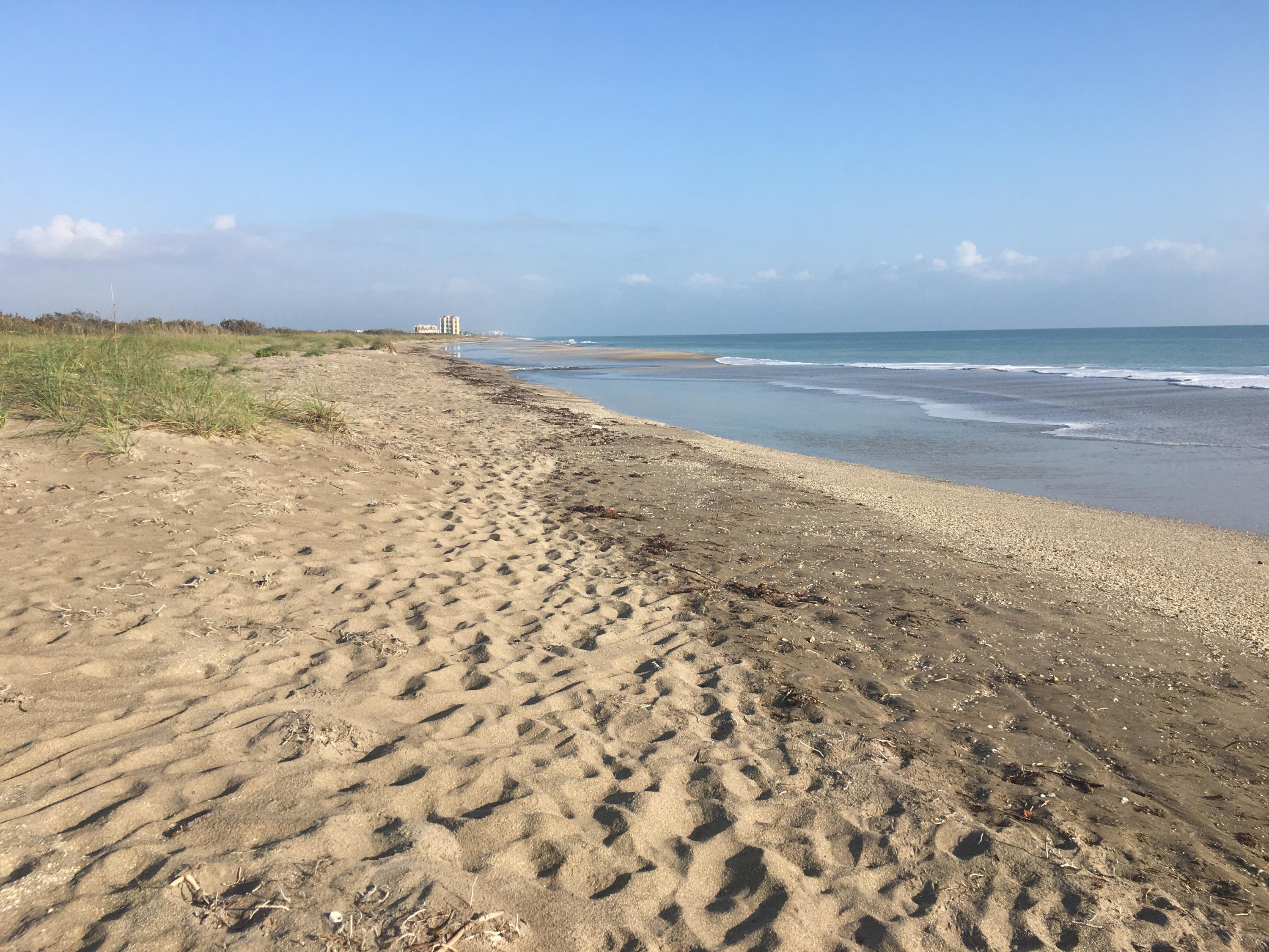 BEACHCOMBER PHASE I - Land