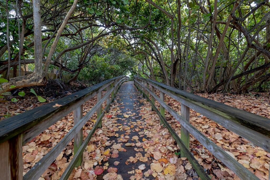 NORTH BEACH CONDO - Residential