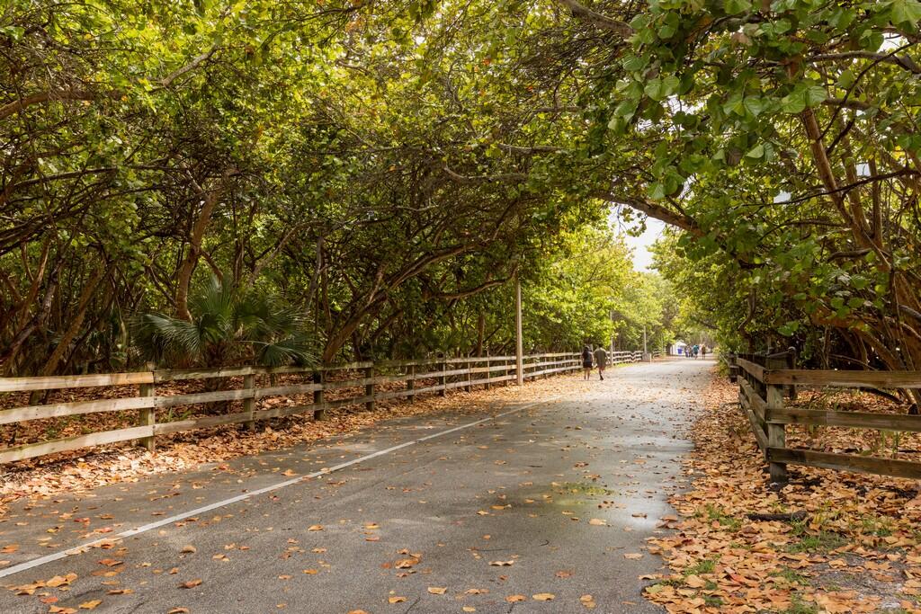 NORTH BEACH CONDO - Residential