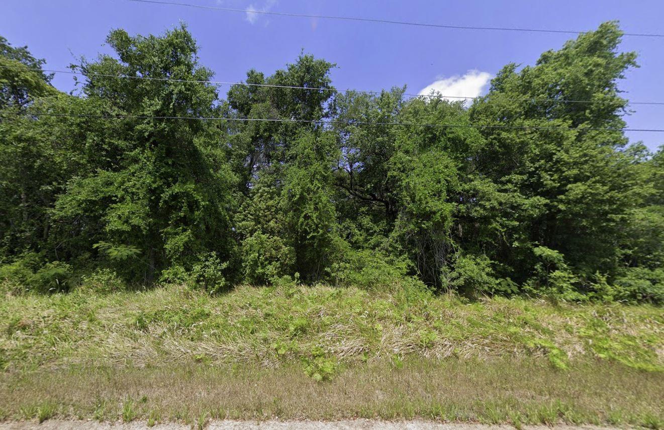 Discover the perfect opportunity to own 0.24 acres of vacant land in the growing Silver Springs Shores community. Nestled in a quiet, residential area with paved road access and no HOA, you'll enjoy the peace of country-style living just minutes from Ocala's shops, restaurants, and schools. Whether you're ready to build now or invest for the future, this lot is priced to sell and offers fantastic potential. Don't miss this rare opportunity to own a large lot in one of Marion County's most desirable up-and-coming areas. For directional purposes use 276 Oak Lane Track