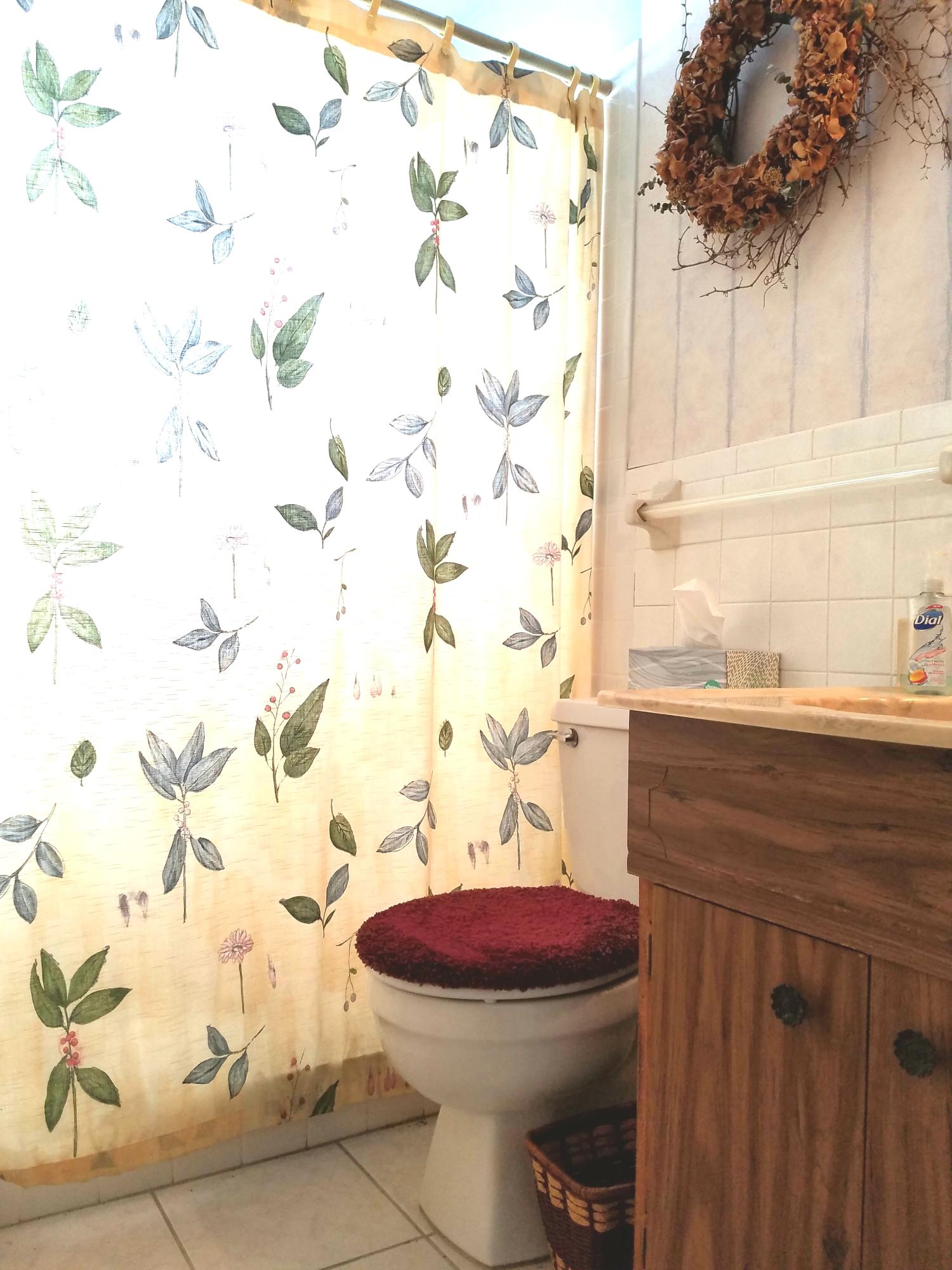 COLONEL H D GOFORTH SUBDIVISION - Residential