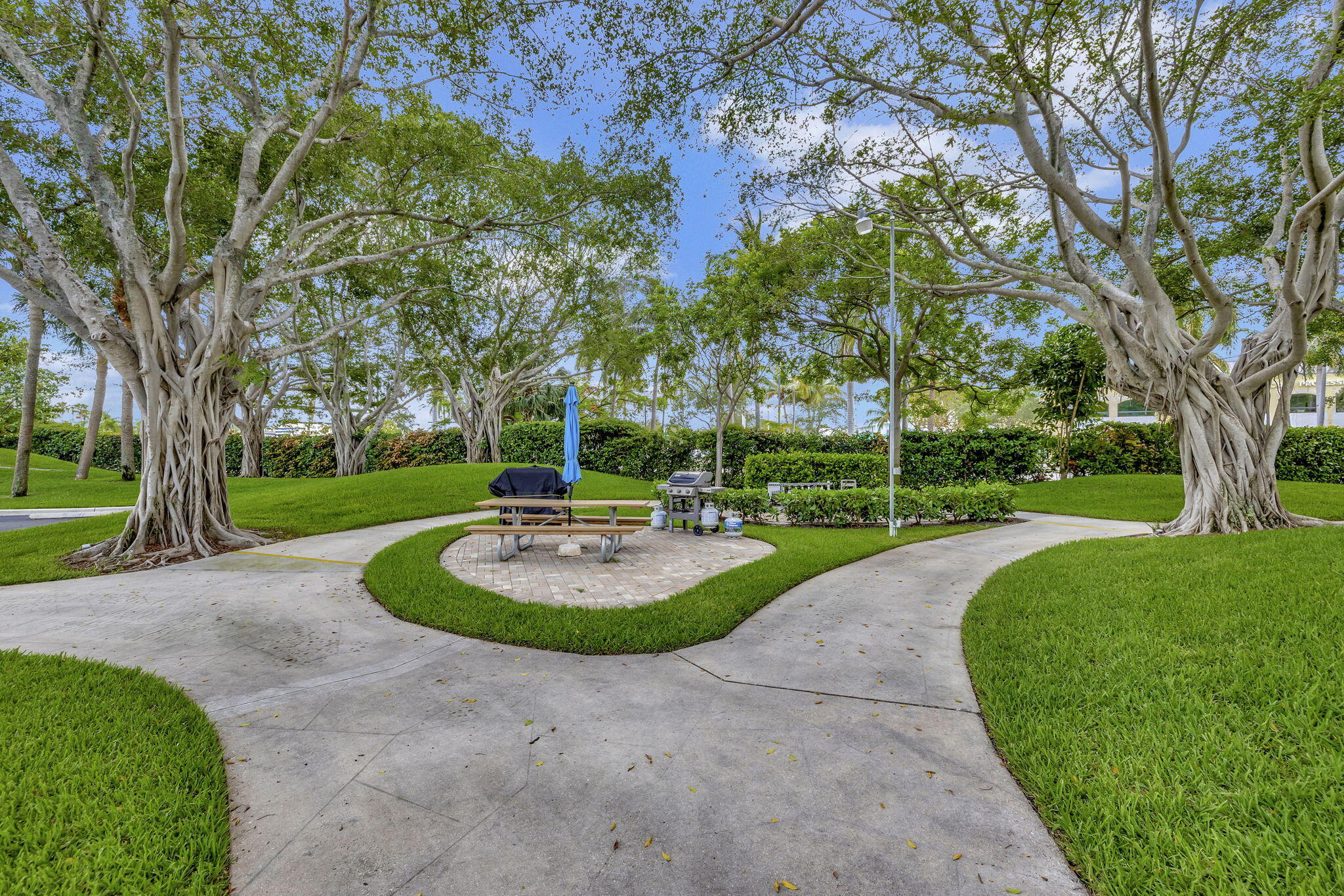 HILLSBORO COVE CONDO - Residential