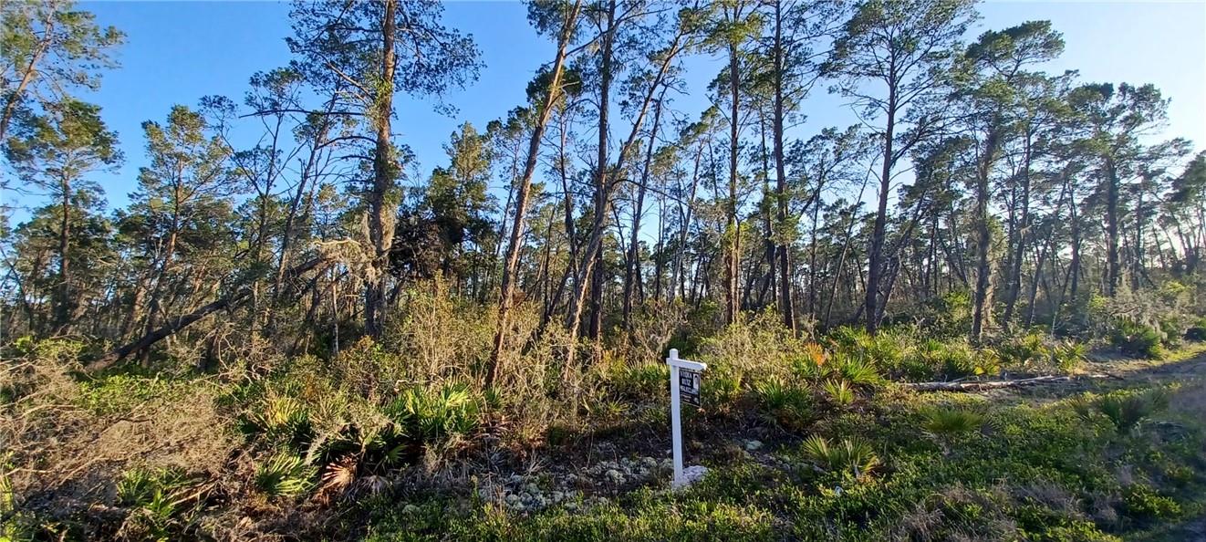 TIME TO BUY A PIECE OF AMERICA, AND YOU CAN START WITH THIS 10,000 SQFT OF DEVELOPING AREA IN CENTRAL FLORIDA, SEBRING, FLORIDA. NEAR THE COAST AND NEAR DISNEY WORLD, HOME OF OUR DEAR MICKEY AND MINNIE MOUSE.******OWNER WILL CONSIDER OWNER FINANCING******