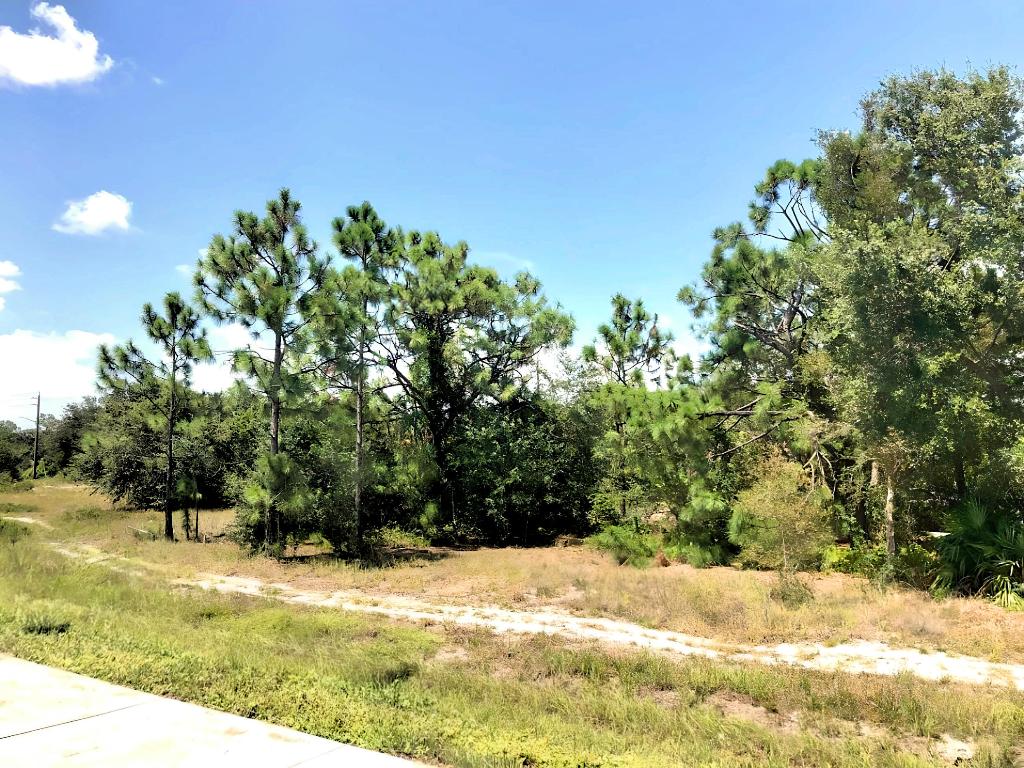 LEHIGH ESTATES - Land