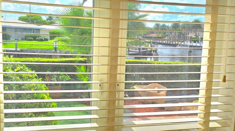 Tiny photo for 4011 NE 27th Terrace, Lighthouse Point, FL 33064 (MLS # B26081594)