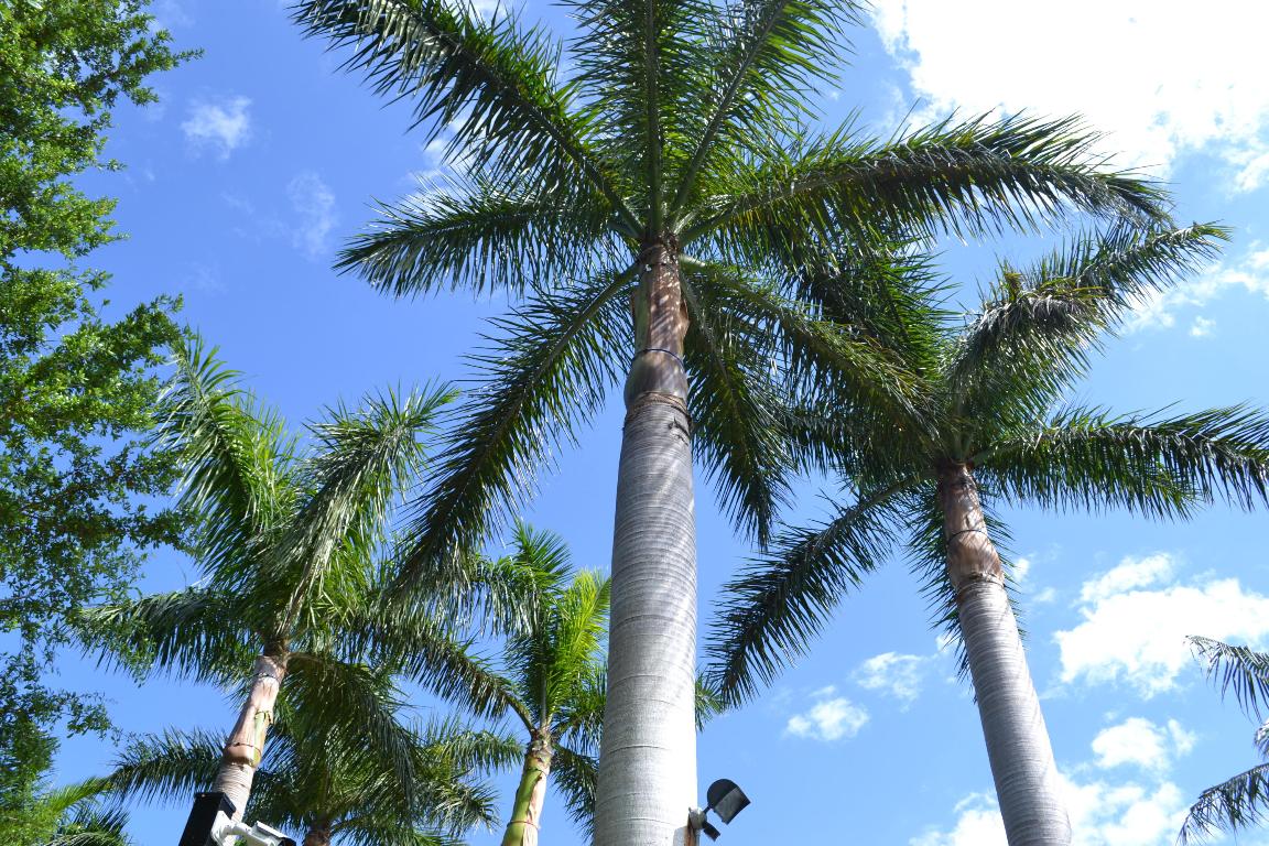 HARBOUR OAKS - Residential Lease