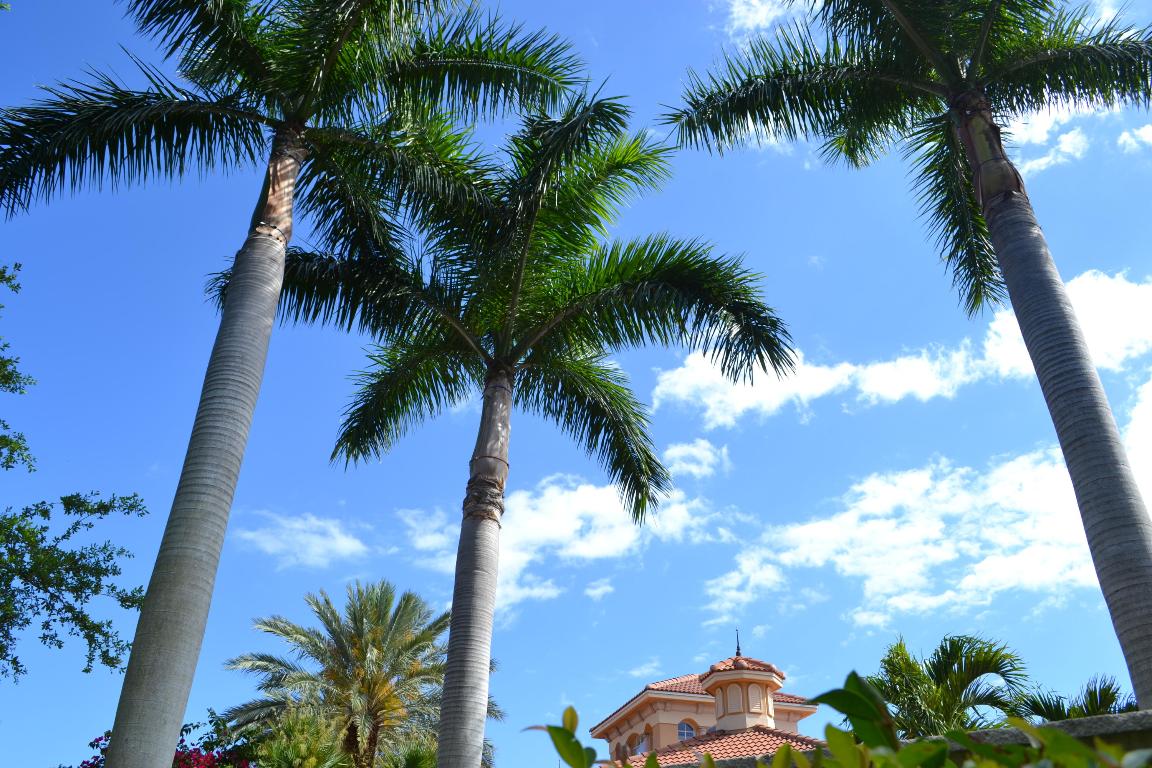 HARBOUR OAKS - Residential Lease