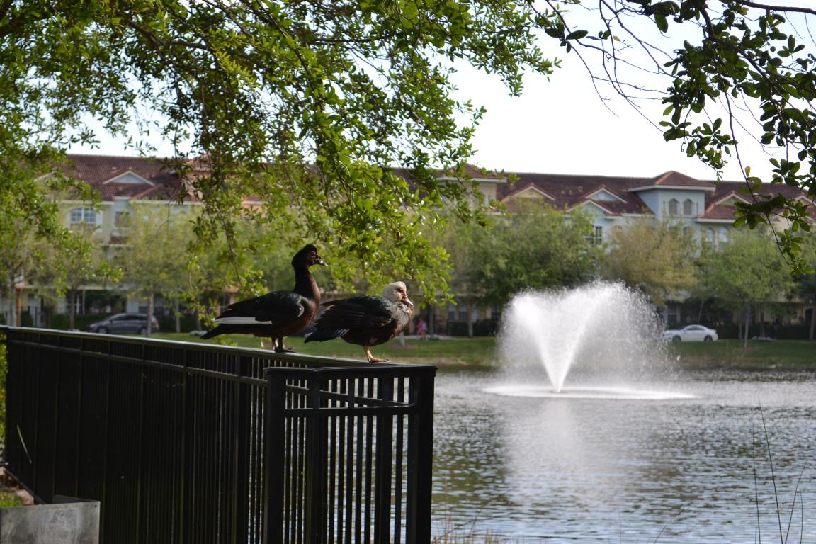 HARBOUR OAKS - Residential Lease