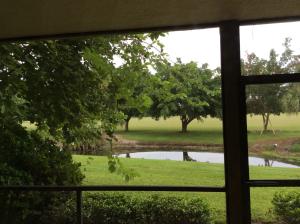 POLO ISLAND CONDO - Residential