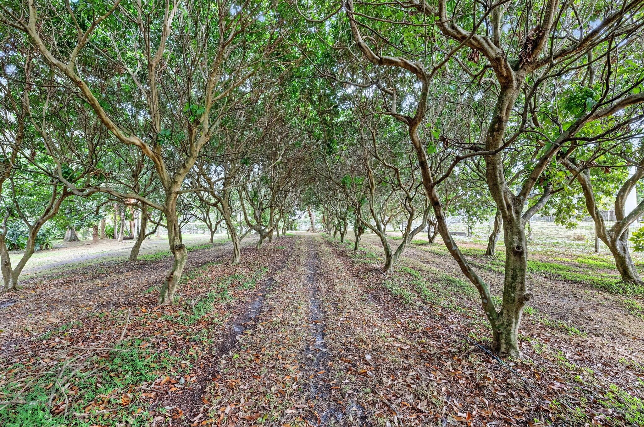 PALM BEACH FARMS - Residential
