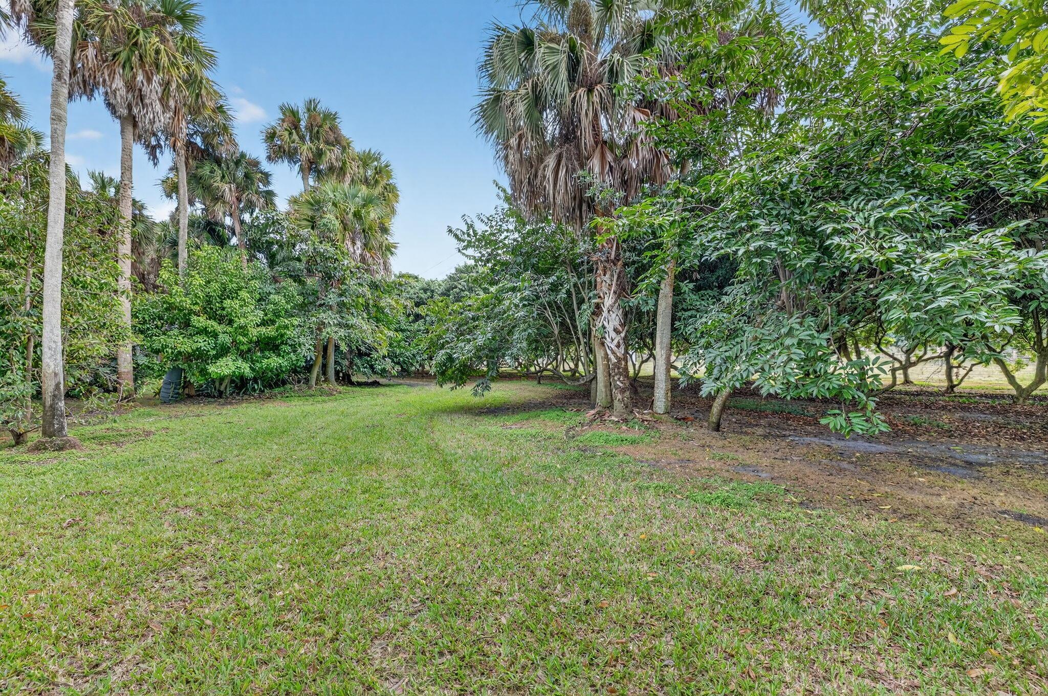 PALM BEACH FARMS - Residential