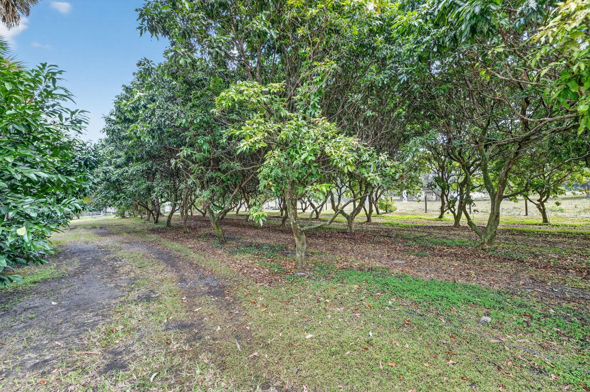 PALM BEACH FARMS - Residential