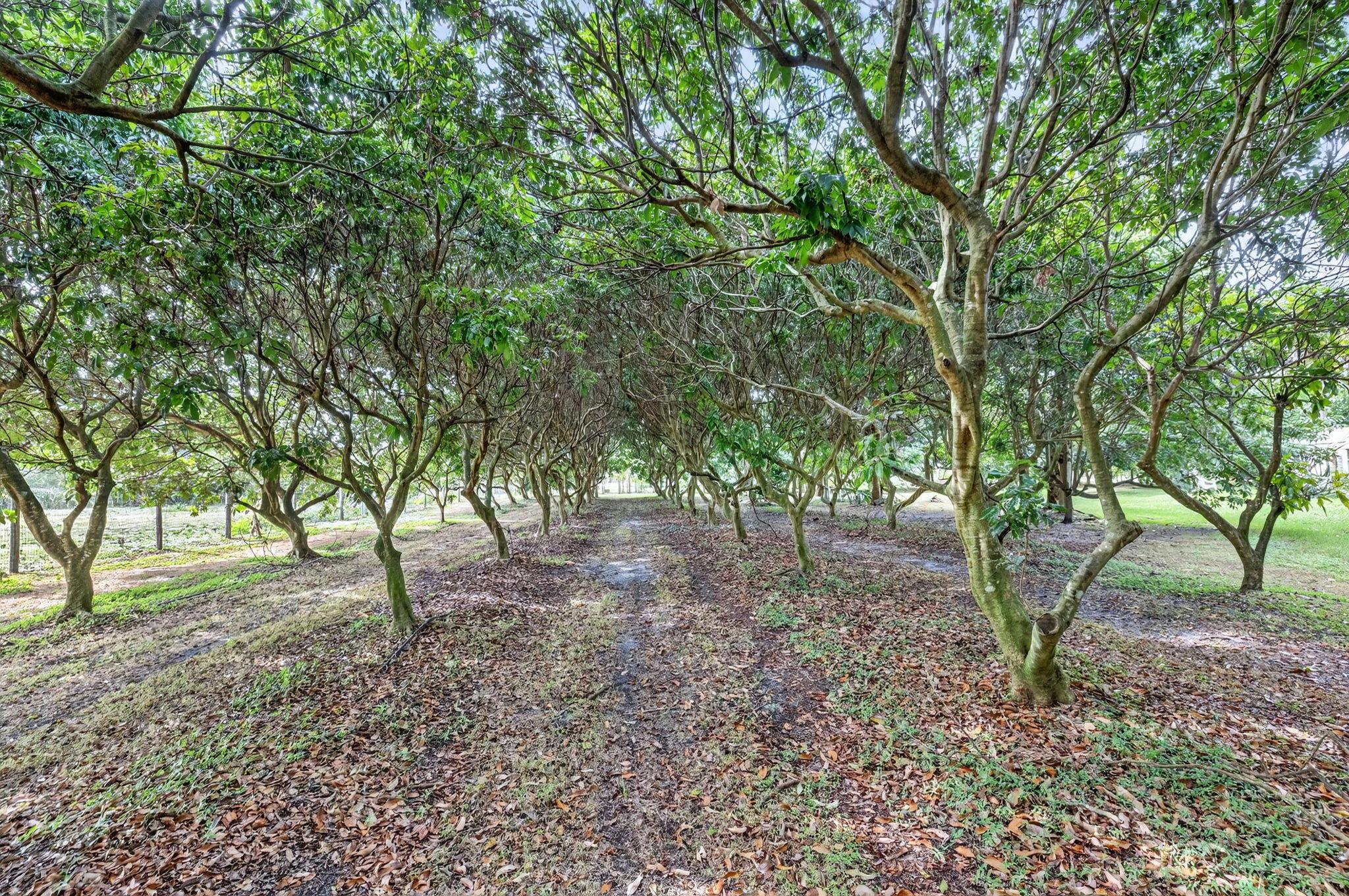 PALM BEACH FARMS - Residential