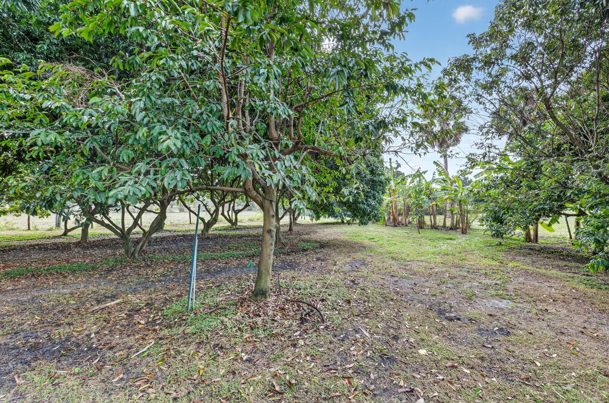 PALM BEACH FARMS - Residential