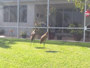 BAYWINDS RPD 4 - Residential